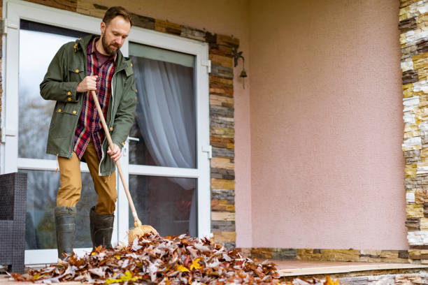 Best Attic Cleanout Services  in New Tazewell, TN
